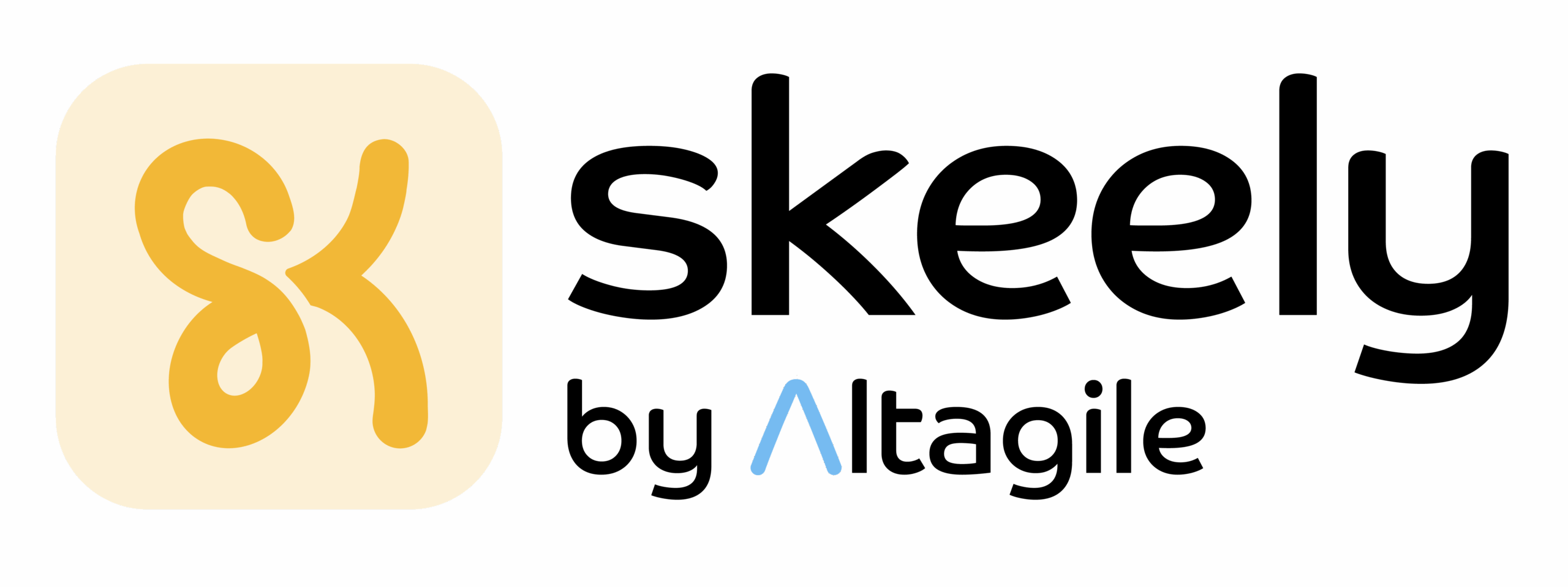 logo du logiciel d'entretien annuel et gepp skeely